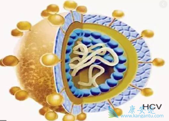 丙型肝炎 丙型肝炎