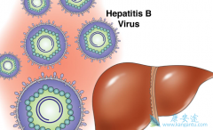 �Ҹδ��������������Ҹδ������Ĳ�������Щ��