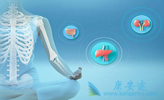 ���ε��������ƺã���������Ч����α��ϣ�