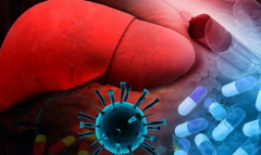 ���ε�������Ʒ��������ѡ��