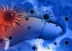 ���˱����ܻ��ã�����������Ʒ�����ʲô��