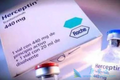 1�������鵥��/����͡�������Ʒ�����HER-2�������ٰ�����Ч������