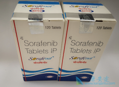 ӡ�ȶ༪���۸���ô����α�֤��ĵ�����ģ�