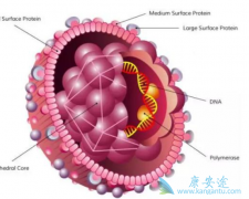 �Ҹβ�������;������Щ��