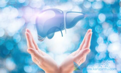 �Ҹβ���Я���߻ᴫȾ�𣿻�ͨ����Щ;��������