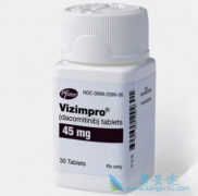 �������/������Ϊ���ܻ�������EGFRͻ��NSCLC���ߵ�һ�����ƣ�