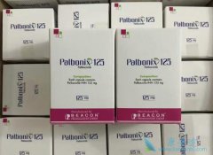 ������/�߰����������ڷ���������HR+/HER2�C���ٰ�һ����ѡ����