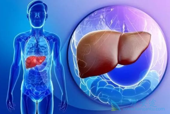 丙肝的危害 丙肝的危害