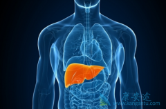 ���ֱ��͸��ײ�����Ⱦ�߶��ɴ�ֱ�ӿ�����ҩ���л���