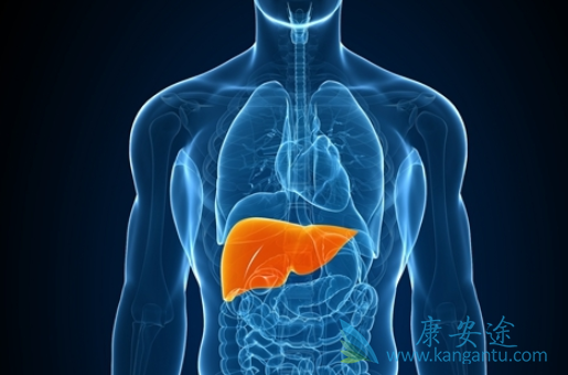 丙型肝炎病毒 丙型肝炎病毒