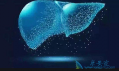 ���Ա��͸��׻��߽���DAA������HCC�����������