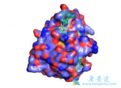 ��������������������͸��װ�ȫ��Ч�ķ���