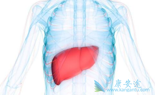 抗病毒治疗 抗病毒治疗