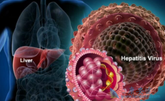 �Ҹ����԰����Ҹα��濹ԭ�������Ҹ���