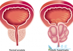 ǰ���ٰ�������ҩ��ɭ���ڹ��ڻ�������