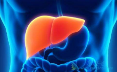 ����HCV�ϲ�CKD���߸����ѡ�����Ʒ�����