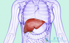 һ�����ֱ���֢״��Ӧ��ʱ�����ο���