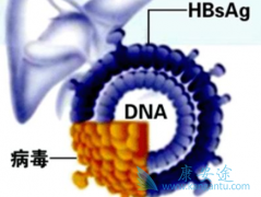 �Ҹβ�����Ⱦ���п�������θ���ķ���