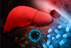 ������������Ч�����Ҹβ��������ʣ�