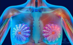 �������ٰ�ѡ���ڷ������Ʒ���������Щ���ƣ�