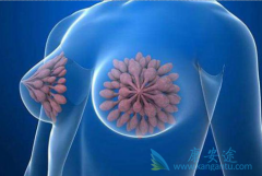 Ϊ���ҹ����ٰ���������û�������ߣ�