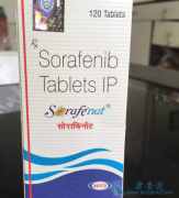 ������������������������