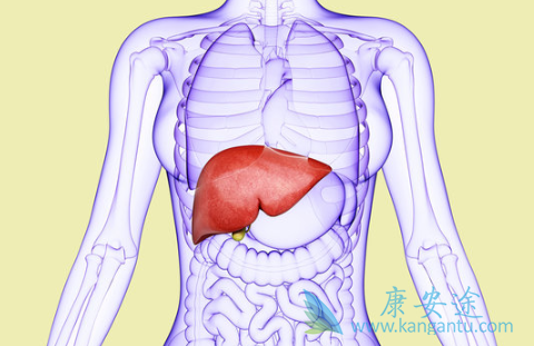 丙肝病毒 丙肝病毒