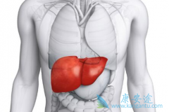 �Ҹβ���Я����Ϊʲô����Ҫ�������ƣ�