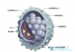 �ٴ��������Ҹε����Ʒ�������Щ��