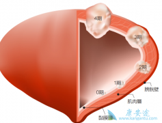 ���װ�������֢״����������