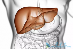 �Ҹβ���Я���ߺ��Ҹλ�����ʲô��ͬ��