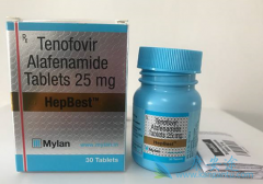 Τ����(TAF)�Թ��ܶȺ���С�ܹ��ܵ�Ӱ��