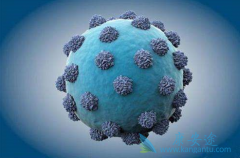 ������ʲô�������Ҹ��кβ�ͬ��