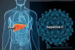 ���͸��ײ���RNA�Ǳ���������ϵıȽ���Ч����