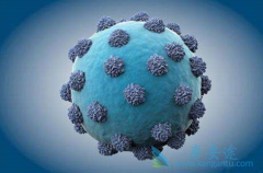 ������ô��Ⱦ�����ο���������