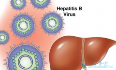 �����Ҹο������Ҫ��Ҫ�ٴ��Ҹ����磿