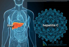 ����1�ͱ���������Ʒ����Ǽ��������Ǽ�������