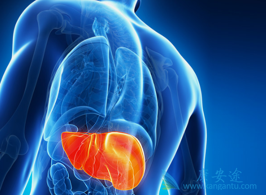 丙肝病毒携带者 丙肝病毒携带者