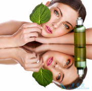 ��������ԭ������Щ�����������Ƶķ�������Щ��