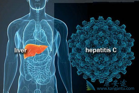 丙肝病毒抗体 丙肝病毒抗体
