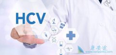�β�HCV��������Ƹ�ϸ�������� �˽�����