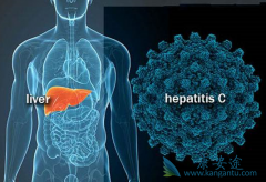 Ϊ�α��������з��Ѷȴ󣿵��˱�����������