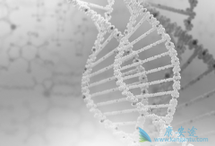 ���ڱ��͸�����֪�����٣���ô�����ο����⣿