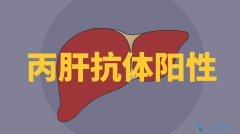 ��Ӳ�������𣿱��ο���������ʲô��