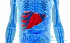 ���ڱ��ε��ɻ󣺱����ܻ����𣿱����ܻ��ã�