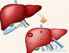 ���͸��׵Ĵ���;���������ģ���������������������