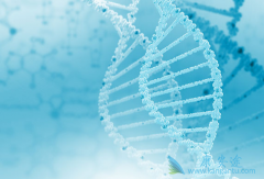 ��Ⱦ���β�������ô�������ο����κ���