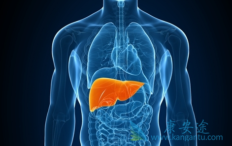 丙肝病毒;丙肝抗体 丙肝病毒;丙肝抗体