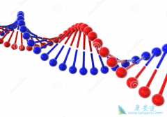 �Ҹδ�Ⱦ;������Щ���Ҹβ���������˺�����ģ�