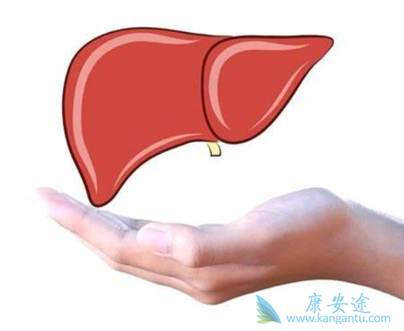 乙肝;TAF 乙肝;TAF